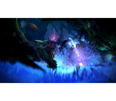Ori and the Blind Forest: Definitive Edition, Switch