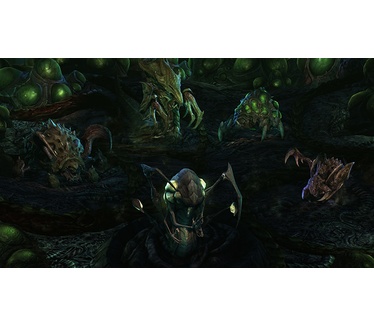 StarCraft II: Heart of the Swarm, PC (Windows)