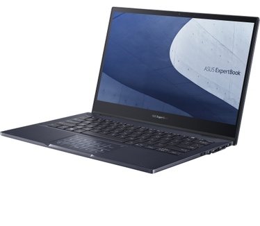 ASUS B5302FEA-LG1166X