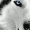 avatar van TheWolfNL