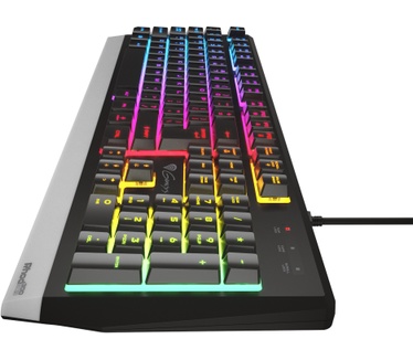Genesis RHOD 300 RGB