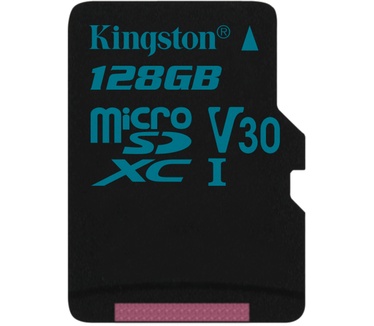 Kingston Canvas Go!
