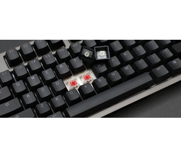 Ducky Shine 7