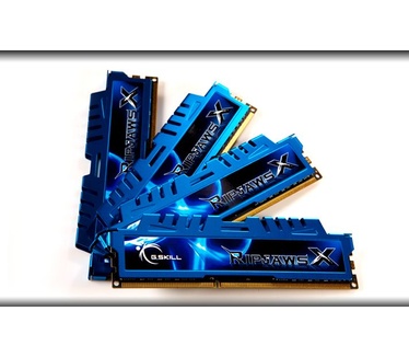 G.Skill RipjawsX G.Skill 32GB DDR3-1866. Intern geheugen: 32768 MB, Intern geheugentype: DDR3, Kloksnelheid geheugen: 1866 MHz. Geheugen voltage: 1.5 V. Hoogte: 40 mm