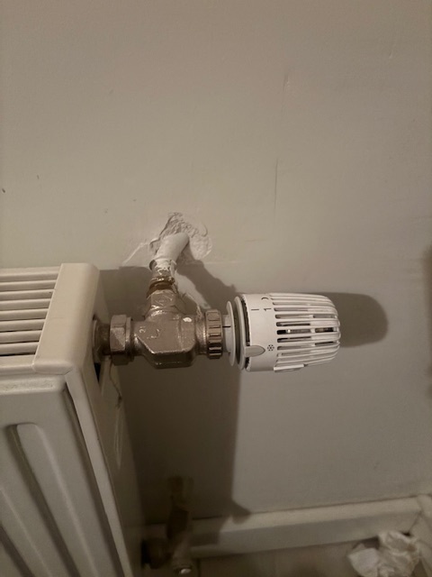 Afbeeldingslocatie: https://tweakers.net/i/UUrw2Ckwz35UVj3ep9BygTxuOMM=/fit-in/4920x3264/filters:max_bytes(3145728):no_upscale():strip_icc():strip_exif()/f/image/OJPMIENcJtqGxoTdwjTEdEri.jpg?f=user_large