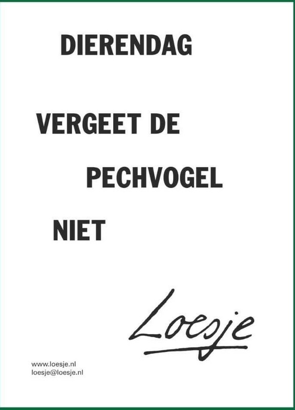 Afbeeldingslocatie: https://tweakers.net/i/UUs9rDbOR09agXshrQEl6FiiETw=/x800/filters:strip_icc():strip_exif()/f/image/n2zaWdmfK5oFfS8VBwQsv6tI.jpg?f=fotoalbum_large