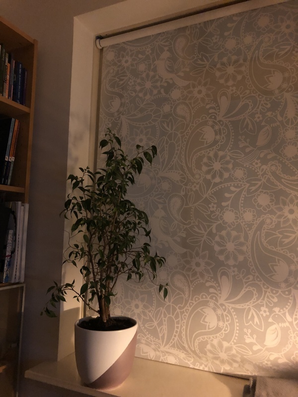 Afbeeldingslocatie: https://tweakers.net/i/UVMkrEoAwxlOGRToPBusUCtXQd4=/x800/filters:strip_icc():strip_exif()/f/image/0naFkRifb6XkLfkiMqOQXuDi.jpg?f=fotoalbum_large