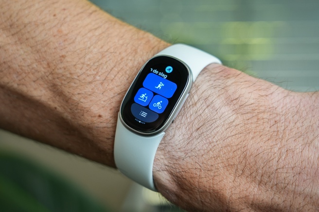 Google Fitbit Edge