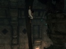 The Last Guardian