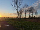 Cameratest Samsung Galaxy S25 Ultra - Videostills