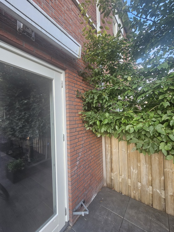 Afbeeldingslocatie: https://tweakers.net/i/UXeNFnooU1Snfu6jHSYSchlEGVQ=/x800/filters:strip_icc():strip_exif()/f/image/wbKtYbKNhWhY11Gzo1N7Nqqn.jpg?f=fotoalbum_large