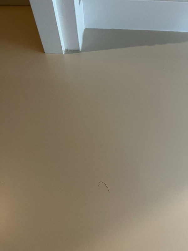 Afbeeldingslocatie: https://tweakers.net/i/UXsYlykswrIxhN2bgOg5t7oDVEM=/x800/filters:strip_icc():strip_exif()/f/image/tyAupUz662cmrpXNeEUTbnqS.jpg?f=fotoalbum_large