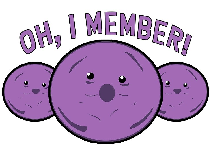 Afbeeldingslocatie: https://tweakers.net/i/UYUGXePJxJXU5xYJJ8UDXUrESBc=/full-fit-in/4000x4000/filters:no_upscale():fill(white):strip_exif()/f/image/ZxMGaDcdWsR8EfT2XTHhi5lr.png?f=user_large