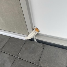 Afbeeldingslocatie: https://tweakers.net/i/U_uMGa20sp0ca1qtQ_qM3mQhdoI=/232x232/filters:strip_icc():strip_exif()/f/image/2PYKkyUG97cLjkMCGA5XDqho.jpg?f=fotoalbum_tile