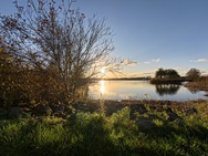 OnePlus 15 cameratest - Ultrawide