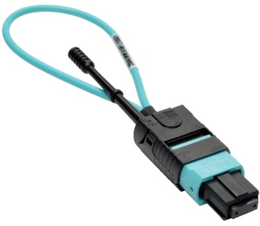 Tripp-Lite N844-LOOP-12F