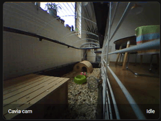 Afbeeldingslocatie: https://tweakers.net/i/Ufw_hRfZ-_I5zZqKvpUjnps8Gto=/234x176/filters:strip_exif()/f/image/iJiTQbf9PbTCE6XRtWvHW8JA.png?f=fotoalbum_medium