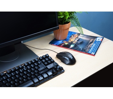 Trust Voca Comfort Mouse