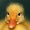 avatar van AngryDuck