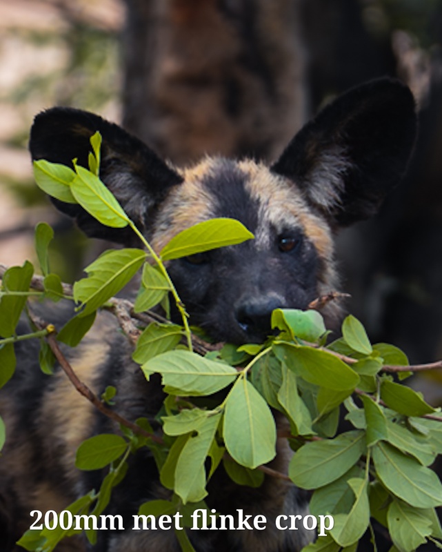 Afbeeldingslocatie: https://tweakers.net/i/UoZs7K33LtLaiXyINGdgswEv2_Y=/x800/filters:strip_icc():strip_exif()/f/image/GWO766aPsj4rniT7UWhRjbIo.jpg?f=fotoalbum_large