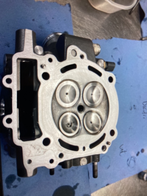 Afbeeldingslocatie: https://tweakers.net/i/UrIib50_oNqRYBz7Lf_FtykMb2c=/x800/filters:strip_icc():strip_exif()/f/image/iHTEFz5zV96MmAvQ55Nrcs0s.jpg?f=fotoalbum_large