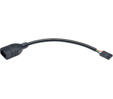 Tripp-Lite U024-06N-IDC
