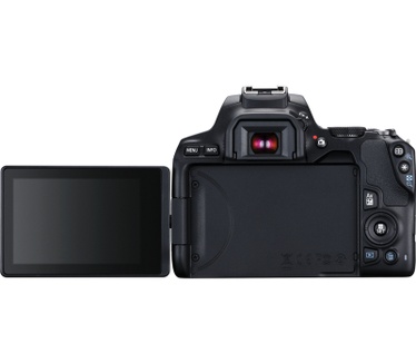 Canon 250D + EF-S 18-55mm f/3.5-5.6 III + EF 75-300mm f/4-5.6 III