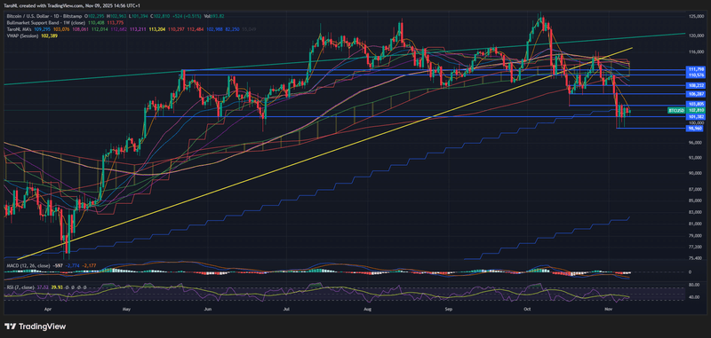 Afbeeldingslocatie: https://tweakers.net/i/UuVs427EBvvnhTq87uKSy62cQlo=/800x/filters:strip_exif()/f/image/vRH0d2fcCNwhnvJydgggP1nC.png?f=fotoalbum_large