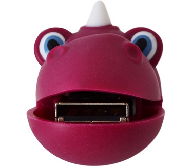TDK 4GB