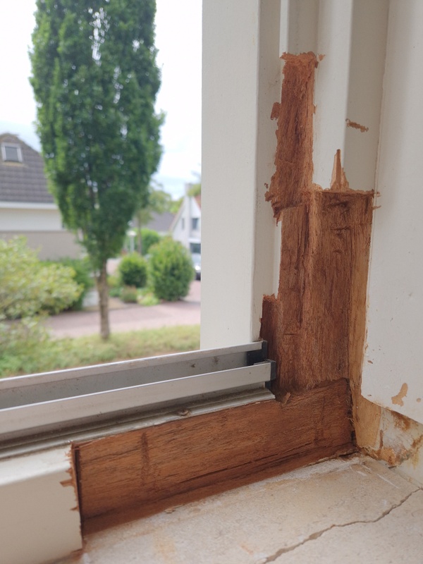 Afbeeldingslocatie: https://tweakers.net/i/Uvc-yFlsXNaUGApxPKGoRAMYLL8=/x800/filters:strip_icc():strip_exif()/f/image/oD3bm6SjIQnPdeaKvLCFrNpW.jpg?f=fotoalbum_large