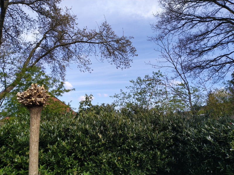 Afbeeldingslocatie: https://tweakers.net/i/UvrJ9c5VeL-1s1m1_i2Di93DvM4=/800x/filters:strip_icc():strip_exif()/f/image/D3YFyA4QTHrfYS9So9usZgm6.jpg?f=fotoalbum_large