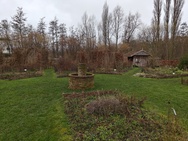OnePlus 11 Cameratest - Hoofdcamera - Dagfoto's