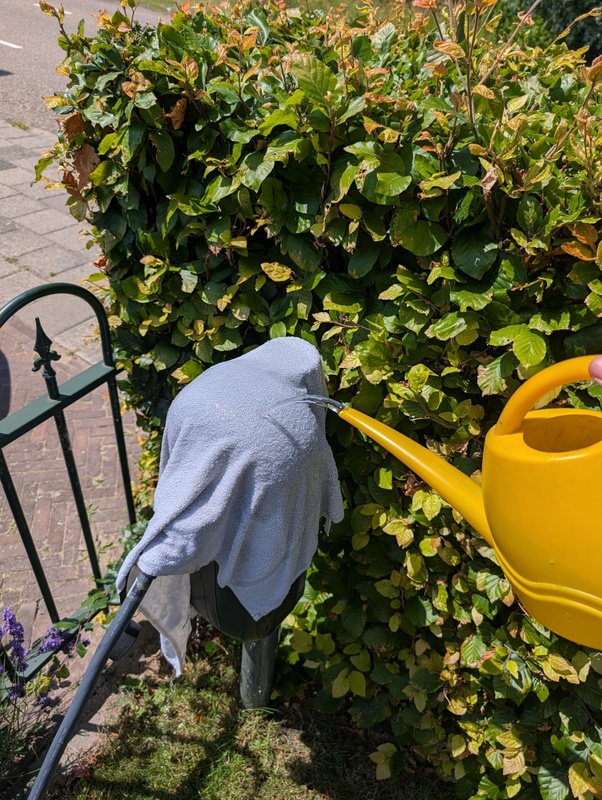 Afbeeldingslocatie: https://tweakers.net/i/UwrAlSoHBUuWDdn18m0aFKIE6FY=/x800/filters:strip_icc():strip_exif()/f/image/zH5WnWGSFfAHz2nrmFx704FF.jpg?f=fotoalbum_large