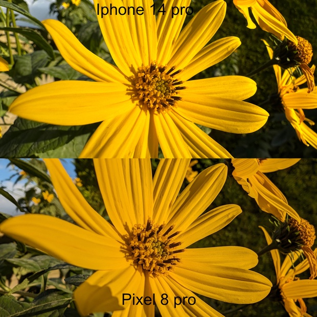 https://tweakers.net/i/Uy-MSzl1D83fTyWYtq32BosMOLo=/620x/filters:strip_icc():strip_exif()/m/459792/1QS0KaSLrAURq76vkoB6M663YJpydkRuUZMWf0wHiLKibPbAqc.jpeg?f=620xauto