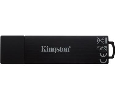 Kingston IKD300 32GB
