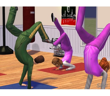 De Sims 2, Windows