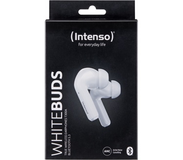 Intenso T302A (Wit)