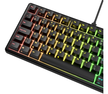 Glorious Glorious GMBK 75% customizable RGB-toetsenbord