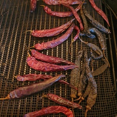 Afbeeldingslocatie: https://tweakers.net/i/V5_kc1bR24ITeBbWu5CCEjLuVk4=/232x232/filters:strip_icc():strip_exif()/f/image/QS46xeVro1m7ZoT2thNhct77.jpg?f=fotoalbum_tile