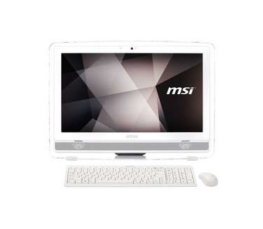 MSI PRO 20ET 4BW-045XE
