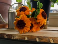 Xiaomi 17 Ultra - 12MP RAW