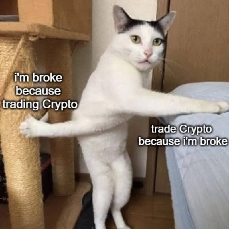 Afbeeldingslocatie: https://tweakers.net/i/V8-6arh4VUxgHU22Fw9XRhEdMWA=/800x/filters:strip_icc():strip_exif()/f/image/DnylE6eH8UIO0WdnbUdYuVQB.jpg?f=fotoalbum_large
