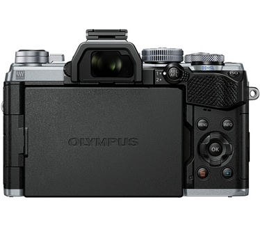 Olympus OM-D E-M5 Mark III + 12-200mm F3.5-6.3 Zilver