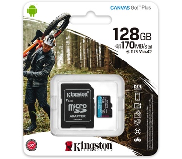 Kingston Canvas Go! Plus