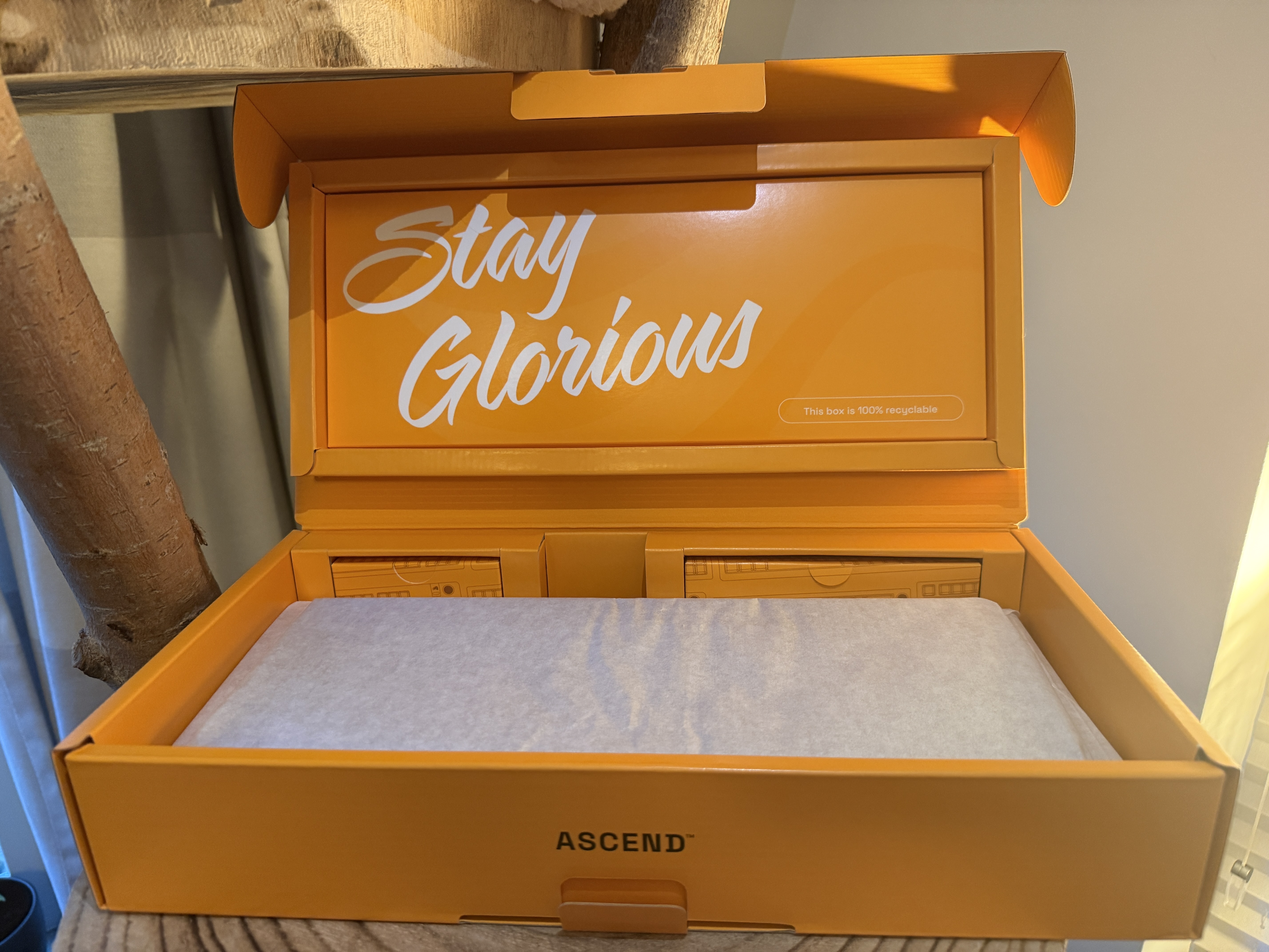 Afbeeldingslocatie: https://tweakers.net/i/V9GBC5NWYeoHERx75f6bxgCWCIM=/m/383141/1VslB6MCpagnSnbENjHva6iJS7NhGb88mBttnKlcMWgAkPNouT.jpeg