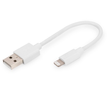 Digitus DB-600106-001-W