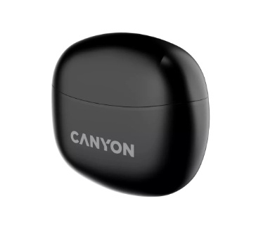 Canyon CNS-TWS5B