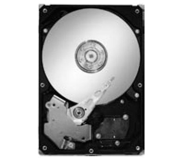 Seagate DiamondMax 21 STM3320620A, 320GB