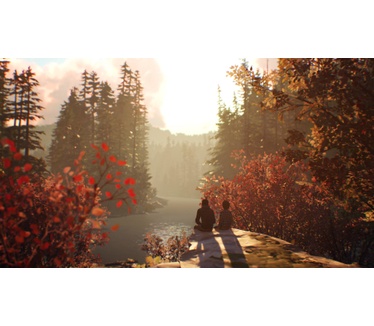 Life is Strange 2, Windows