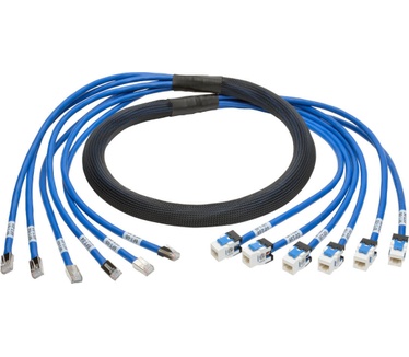 Tripp-Lite Cat6/Cat6a,6 ft Blauw